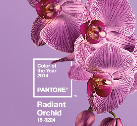 Introducing the Color of the Year for 2014