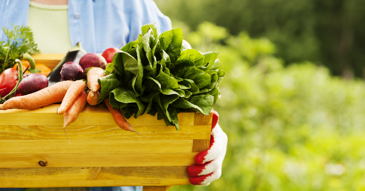 Woman holding a box of vegetables from her garden