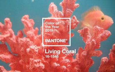 Pantone Announces the Color of the Year for 2019