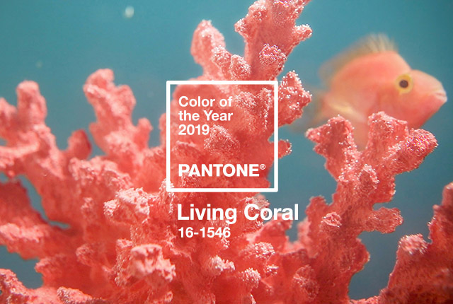 Living Coral is Pantone's 2019 Color of the Year