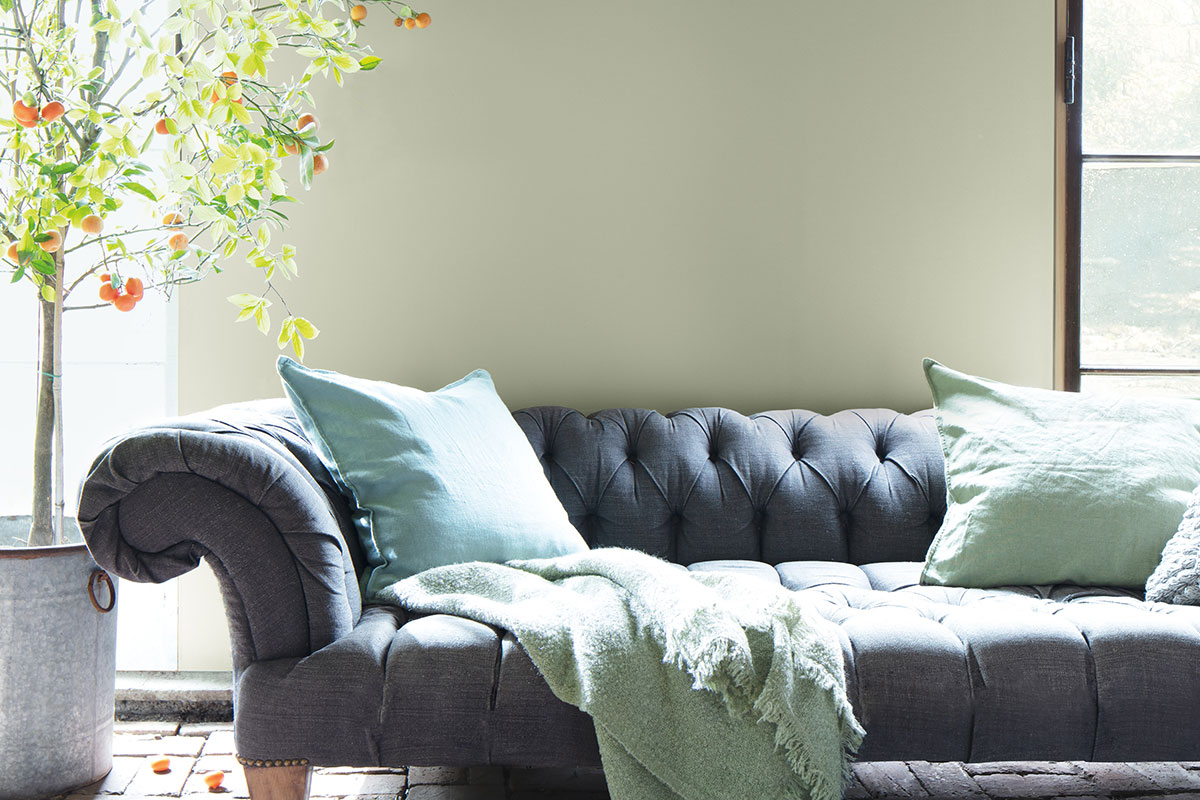 Benjamin Moore Sofa with October Mist wall