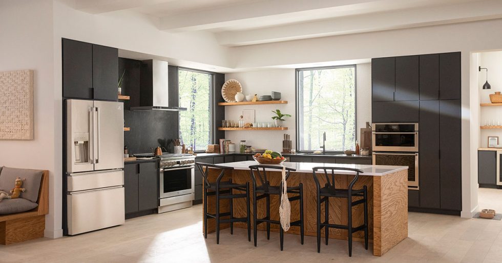 Electrolux: Where Luxury Meets Sustainability | Friedman's Ideas and ...