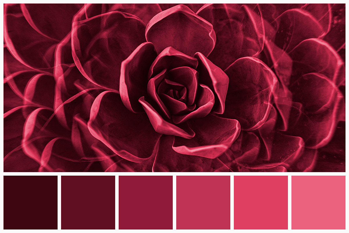 Pantone color of the year for 2023: Viva Magenta